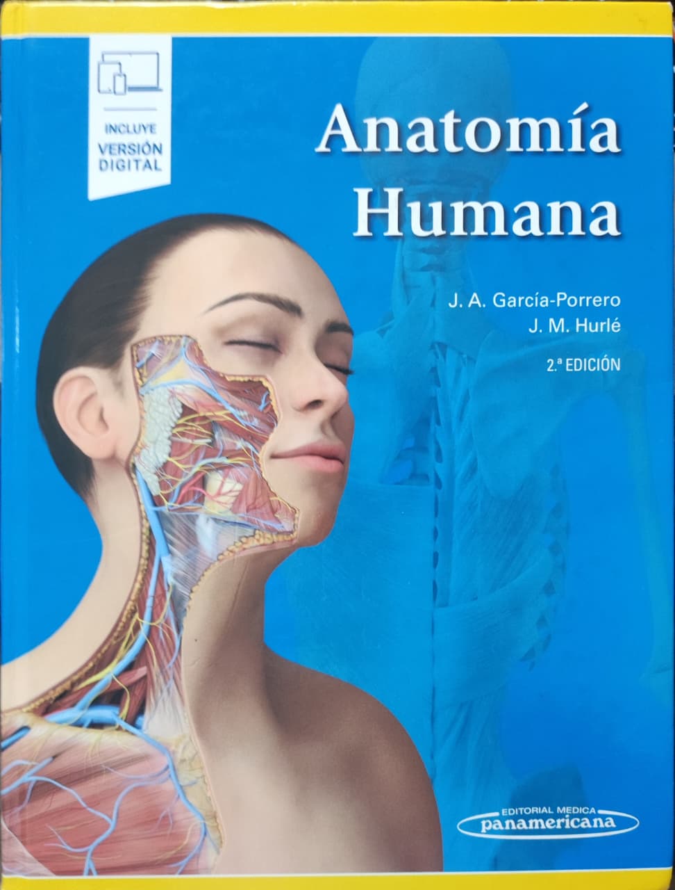 Anatomia Humana