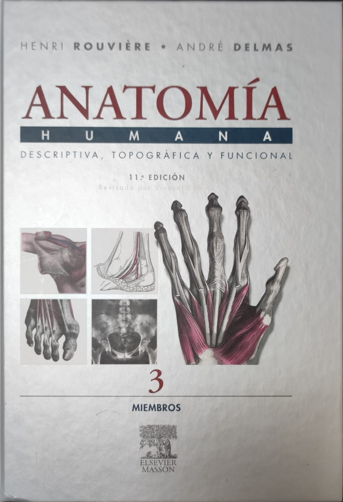 Anatomia Humana Rouviére 3 Miembros