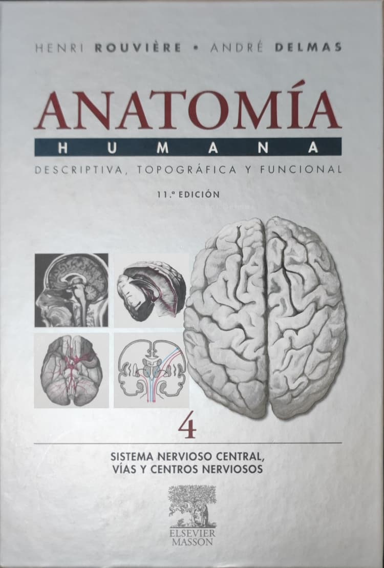 Anatomia Humana Rouviére 4 Sistema Nervioso Central Vias y Centros Nervioso